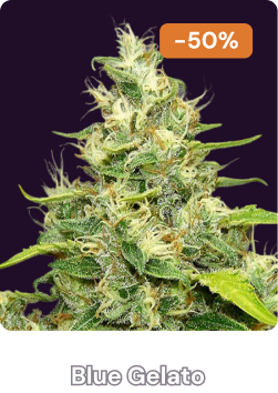 Blue Gelato Halloween-3